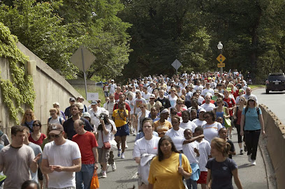 AIDS Walk Boston main image