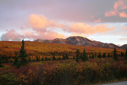 Alaska Colorectal Surgery image