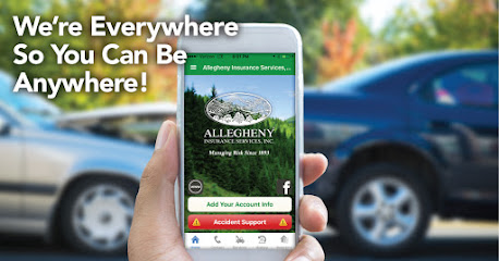 Allegheny Insurance Services, Inc. image