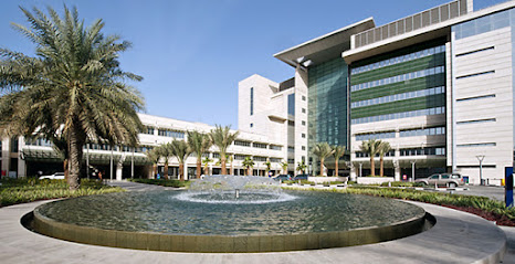 American Hospital Dubai main image