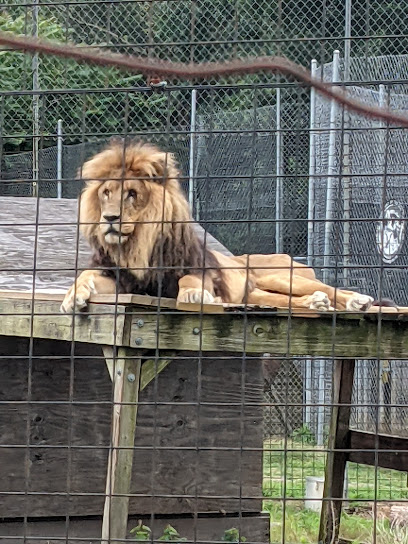 Animal Park at the Conservators Center image