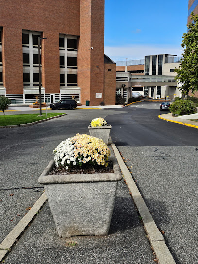 Berkshire Medical Center main image