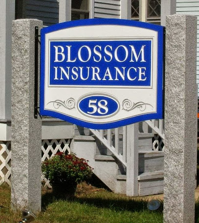 Blossom Insurance image