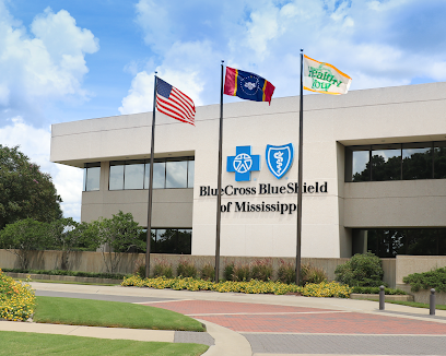 Blue Cross & Blue Shield of Mississippi, A Mutual Insurance Company image