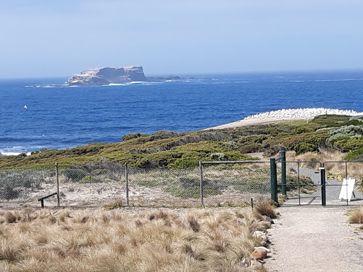 Cabrini Prahran image