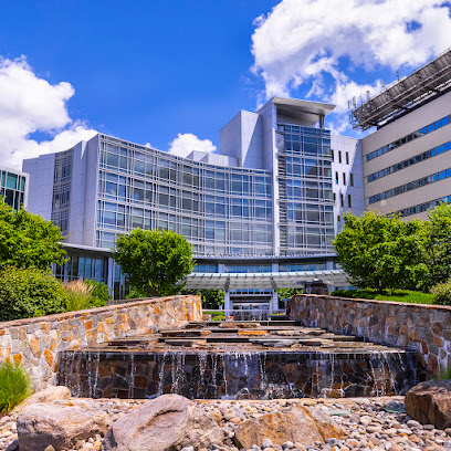 Danbury Hospital, part of Nuvance Health main image