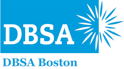 DBSA-Boston - Netfirms main image