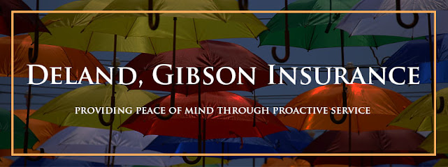 Deland, Gibson Insurance Associates, Inc. image