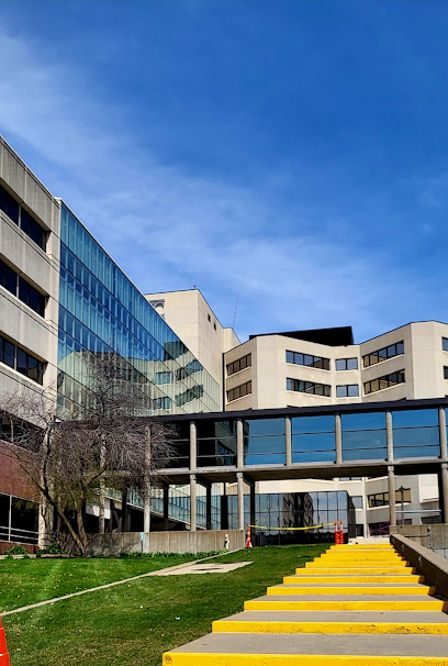 Department of Family Medicine image