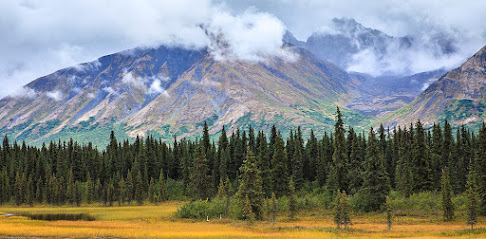 Eagle River Dental main image