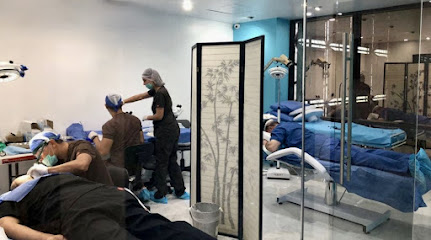 Hair Transplant Mexicos main image