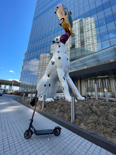 Hassenfeld Children’s Hospital at NYU Langone image