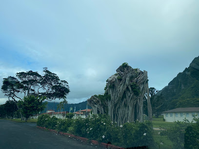 Hawaii State Hospital image