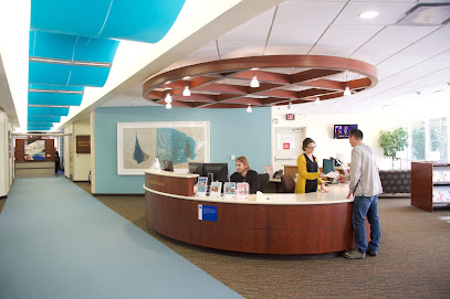 Holden Comprehensive Cancer Center image