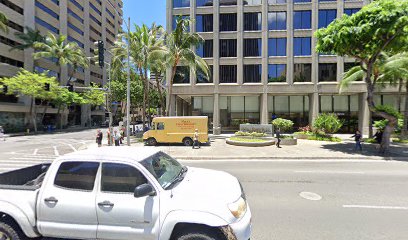 HWMG Hawaii-Western Management Group main image