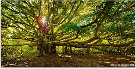 Kentucky Psychiatry - Bowling Green image