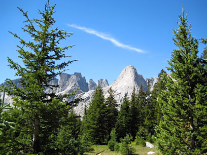 Lander Mountain Dental image