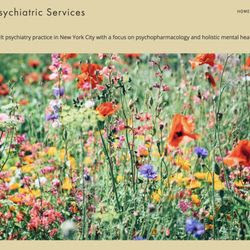 Manhattan Psychiatric Services image