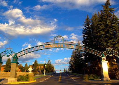 Montana Technological University image