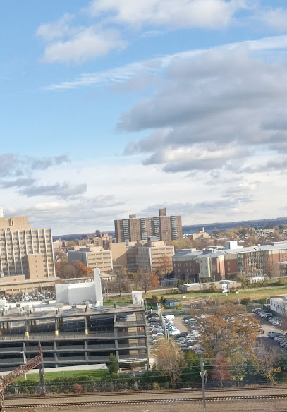 Montefiore Medical Center: Einstein Campus image