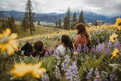 Mountain View Women's Health image
