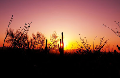 New Mexico Wellness Treatment Center main image