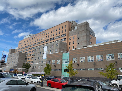 NYC Health + Hospitals/Elmhurst image