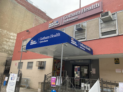 NYC Health + Hospitals/Gotham Health, Sydenham image