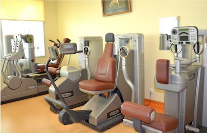 Physiotherapy main image