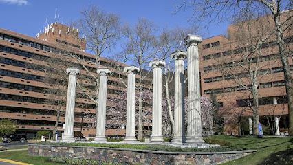 Pottstown Hospital - Tower Health main image