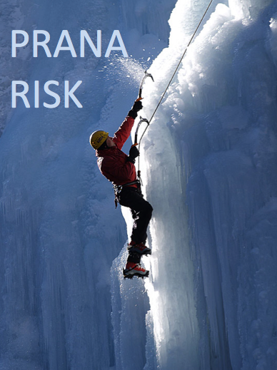 Prana Risk Insurance Brokers & Agents image