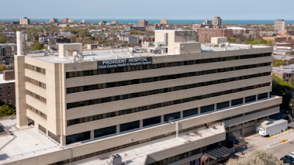 Provident Hospital of Cook County image