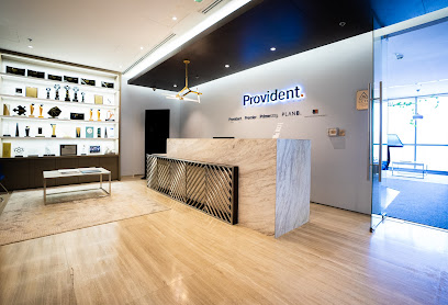 Provident Real Estate image