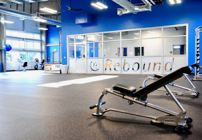 Rebound Sports and Orthopedic Physical Therapy image