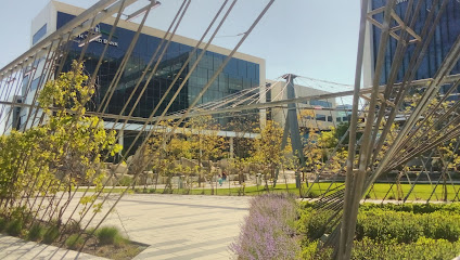 Sidney & Lois Eskenazi Hospital image