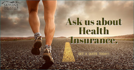 Skyline Insurance Agency, Inc image