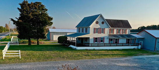 Southern Delaware Therapeutic Riding, Inc main image