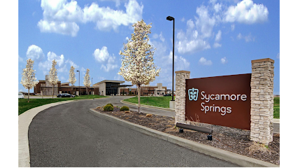 Sycamore Springs image