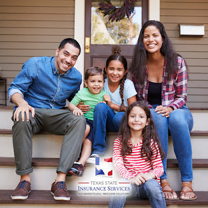 Texas State Insurance Services image