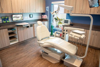 The Florida Dentists main image