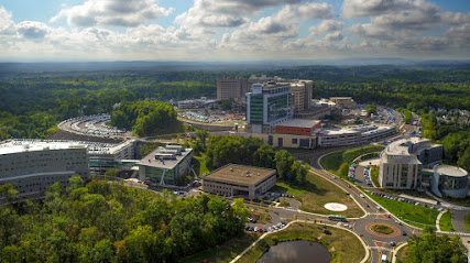 UConn Health image