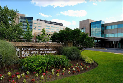 UM Baltimore Washington Medical Center image