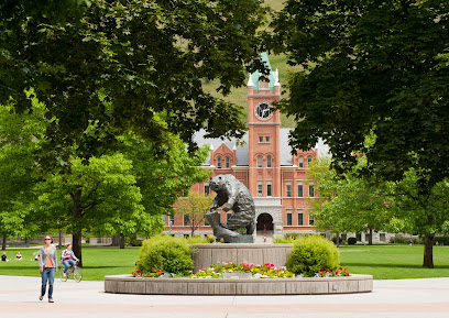 University of Montana image