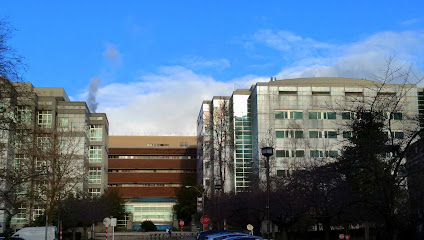 University of Washington Department of Environmental & Occupational Health Sciences main image