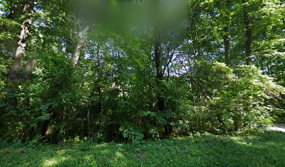 Vermont Commons School Outdoor Education Center image