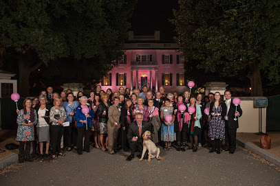 Virginia Breast Cancer Foundation main image