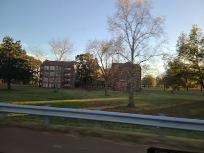 Western Mental Health Institute image