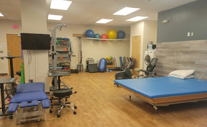 Wise Physical Therapy main image