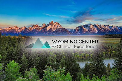 Wyoming Center for Clinical Excellence image